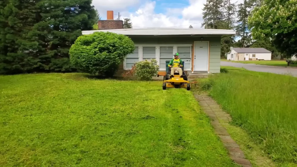 Shrub & Garden Bed Maintenance