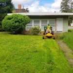 Shrub & Garden Bed Maintenance