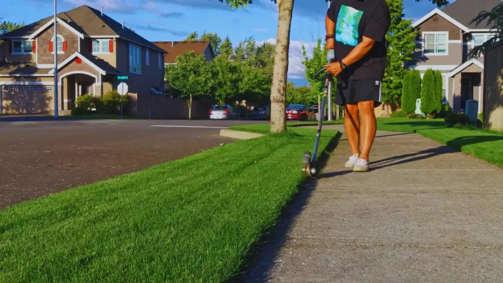 Lawn Mowing & Edging services