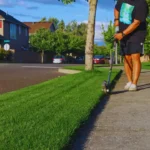 Lawn Mowing & Edging services