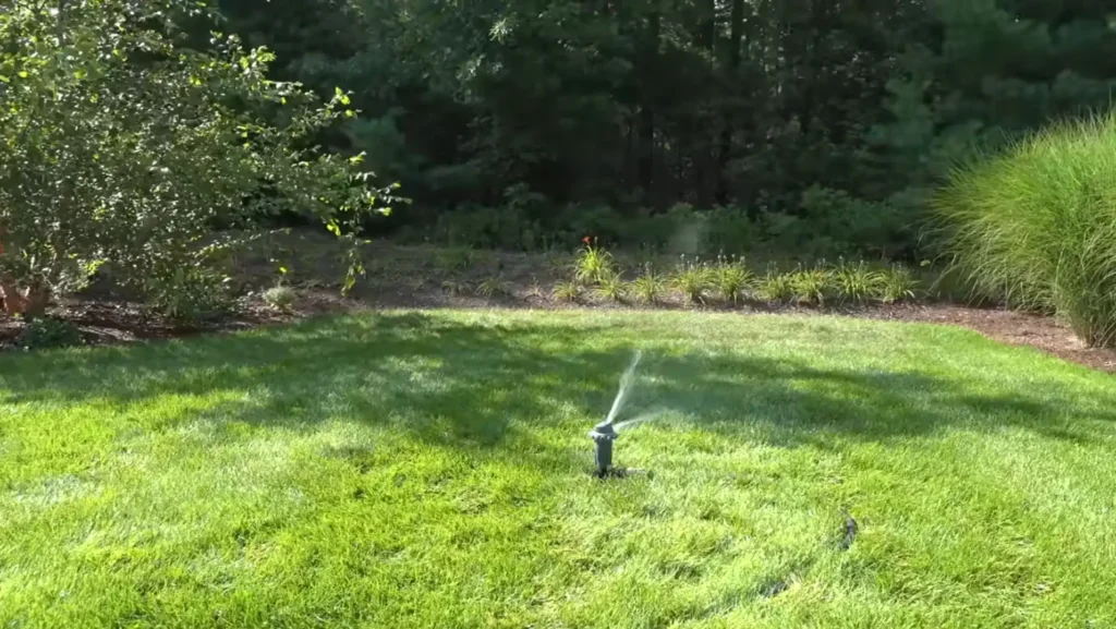 Irrigation & Sprinkler Care