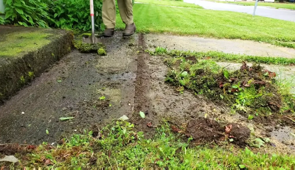 Our Waco lawn services team edging a green lawn
