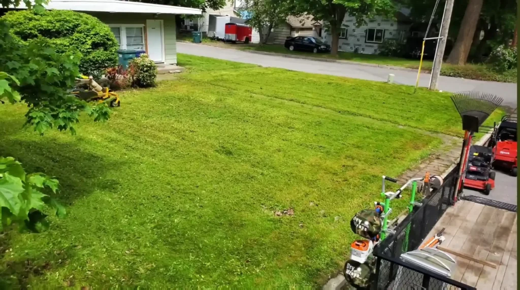 Perfectly mowed lawn with modern equipment