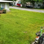 Perfectly mowed lawn with modern equipment